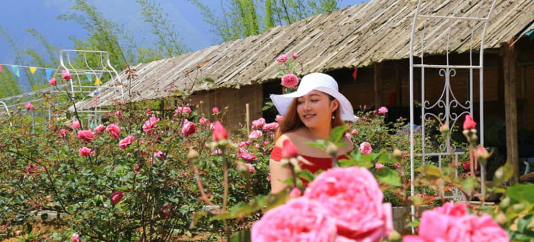Sắc hồng phấn nhẹ nhàng càng tôn thêm sự xinh đẹp của phái nữ