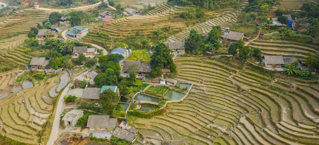 Bức tranh Bản Hồ Sapa rất nhẹ nhàng dưới sự hòa quyện của những nấc thang và cây xanh cao lớn