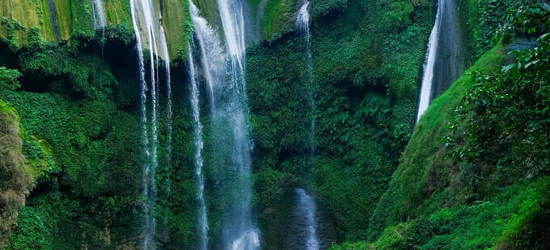 Đặt chân đến thác Nàng Tiên bạn sẽ được chiêm ngưỡng một khung cảnh thiên nhiên xanh mướt cực lãng mạng