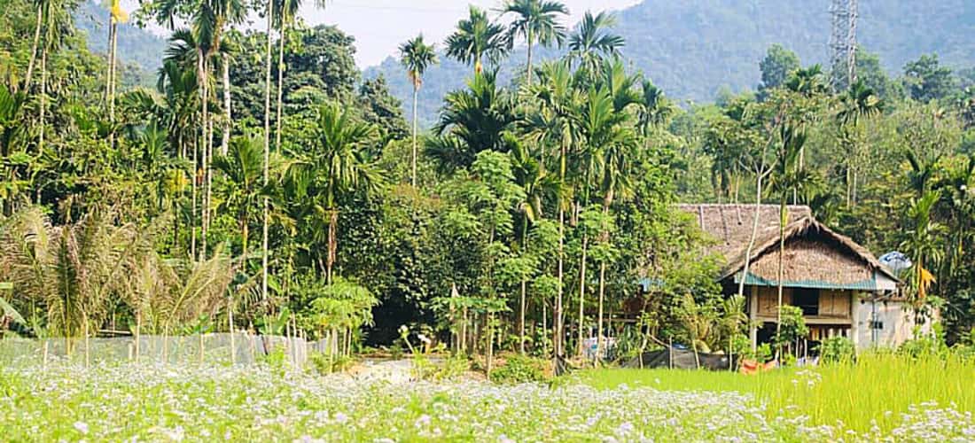 Những nếp nhà sản ẩn hiện trong thiên nhiên hữu tình