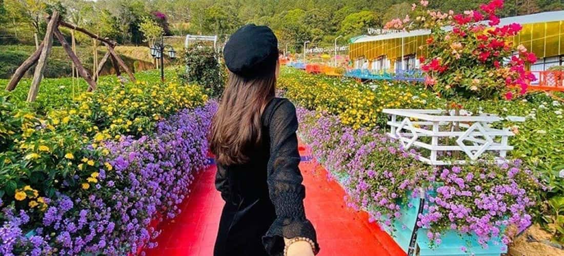 上花园的空间充满了花朵