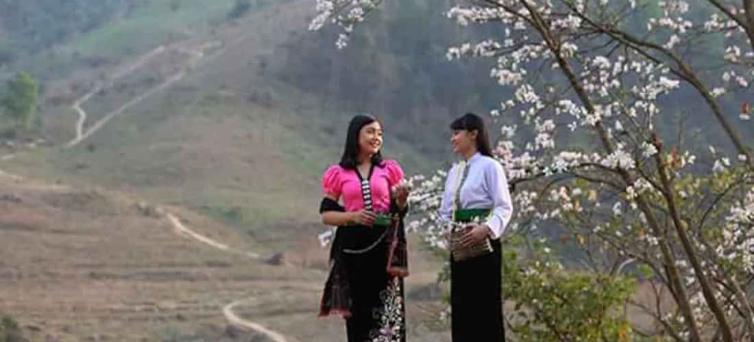 Tháng 3 là thời điểm hoa ban nở rộ đẹp nhất