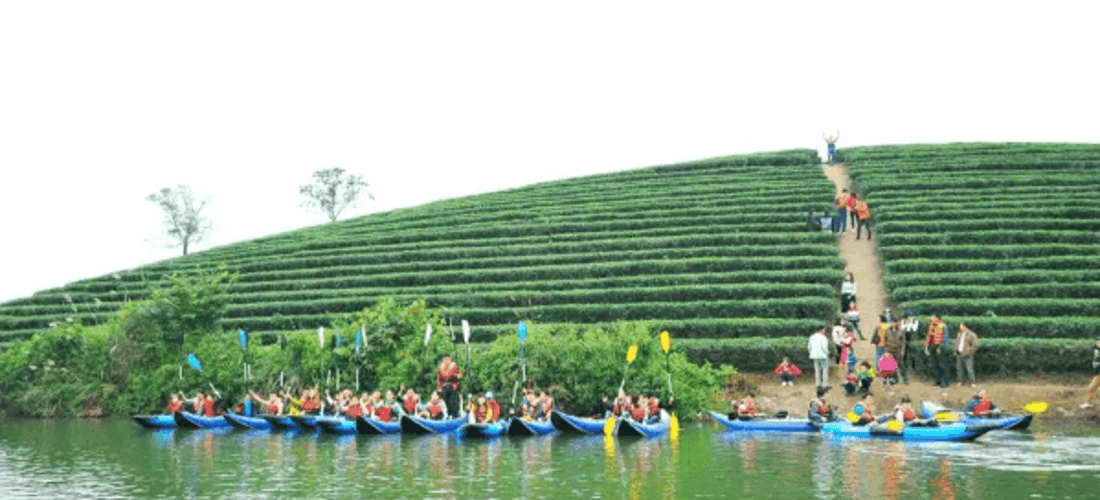 Thưởng thức không gian thiên nhiên tại đảo chè