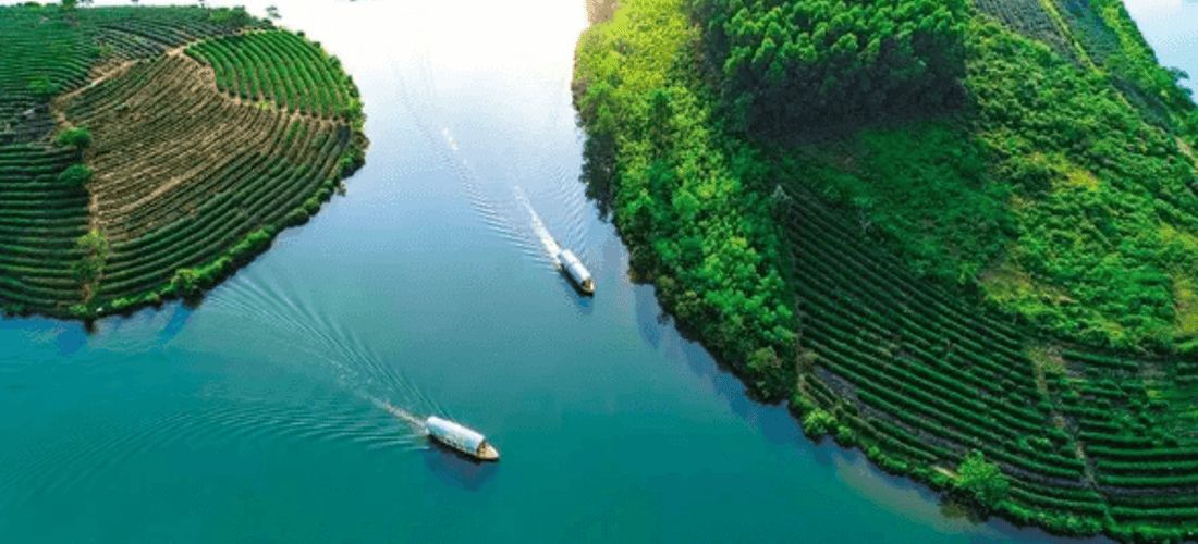 Thuyền máy là phương tiện lý tưởng để tham quan mê cung ốc đảo chè