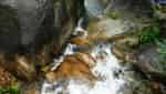 Cool Spring - Le Pass-7