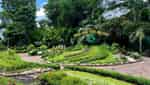 植物園-3