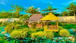Coi Nguon生态旅游区-8