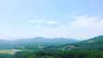 Cool Spring - Le Pass-5