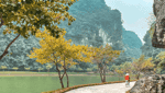 Tuyệt Tình Cốc-2
