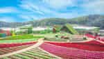 大叻新鲜花园-4