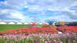 大叻新鲜花园-8