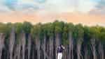 サックカンジオの森-6