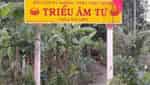 Trieu Am Pagoda（清岛）