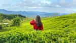 Cau Dat 茶山-6