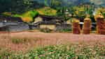 桑拉谷-1