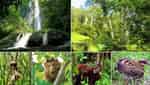 フォンニャ植物園-3