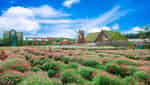 大叻新鲜花园-7