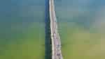 オンコップの木の橋
