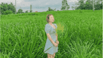 バヴァン馬牧場-3