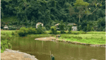 北鹅村-3