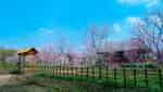 Thuy Hoa Vien-4