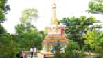 Historical and cultural relic of Hoang Long Pagoda