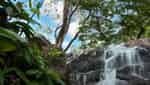 Cool Spring - Le Pass-4