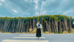 サックカンジオの森-2