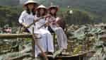 云海荷花池-5