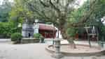 Ha Temple
