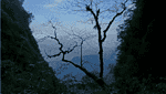 吴志山.-3