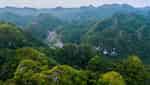 吉婆岛国家森林-4