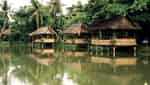 Ecotourism area, preserving traditional culture of the Tay ethnic group in Thai Nguyen