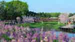 Thuy Hoa Vien-6