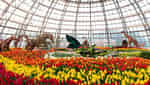 芽庄国王花园-2