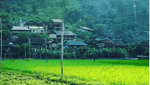 北鹅村