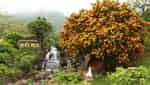 Suoi Hoa 생태 관광 지역