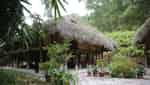 Ecotourism area, preserving traditional culture of the Tay ethnic group in Thai Nguyen