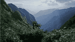 吴志山.-1