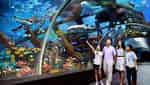 芽庄珍珠岛水族馆-5