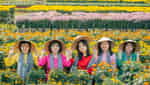 アンタン花村-7