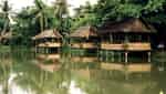 Ecotourism area, preserving traditional culture of the Tay ethnic group in Thai Nguyen
