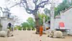ヒエンタン寺院へ