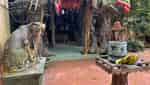クン寺院 - 翡翠の井戸-1