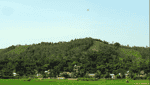 Núi Thắm ( Núi Đầu Rồng)-5