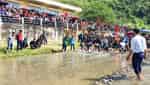 タイ族の魚祭り-5