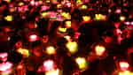 Lantern Festival (Mid-Autumn Festival)-5