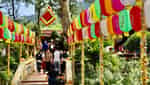 Phu Na Ky Festival in August-3