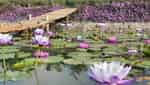 英阳农场-8