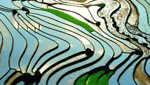 シンチャイ村-3